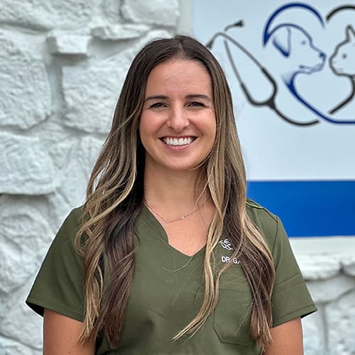 Dr. Kelsey Gapstur, Brentwood Veterinarian