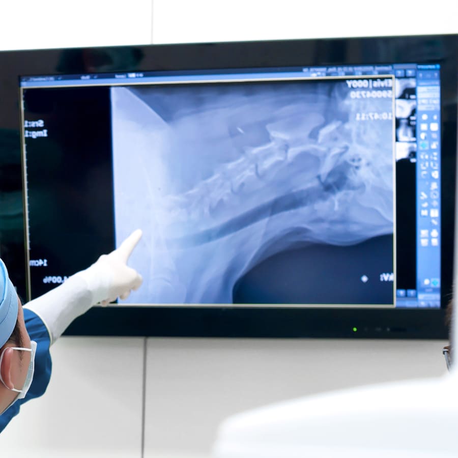 Veterinary Diagnostic Lab in Brentwood